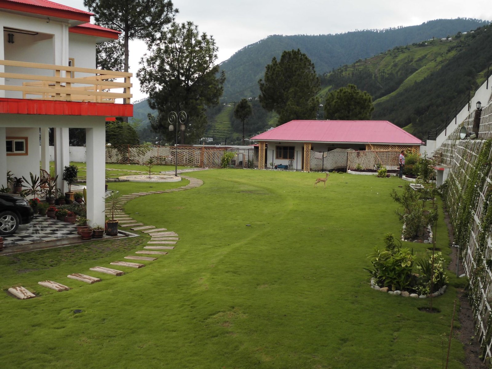 Open lawn with resident deer roaming near the lodge