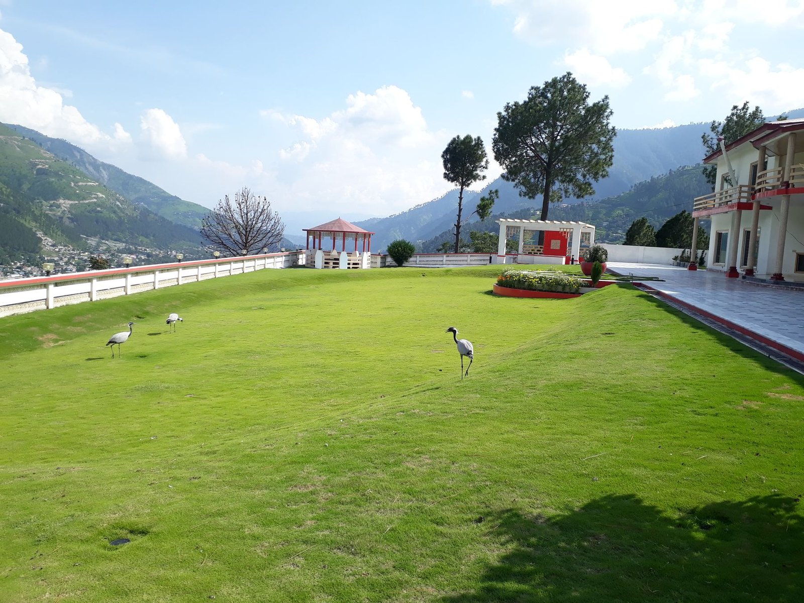 Lawn with resident cranes, gazebo and mountain view at the estate